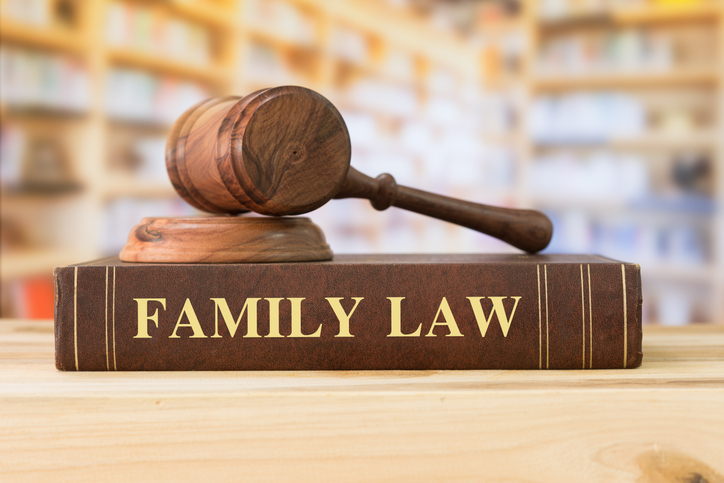 Santa Rosa Family Law Lawyer